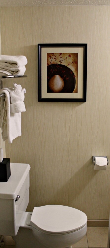 Hotel Elegante Conference & Event Center Colorado Springs - photo 14
