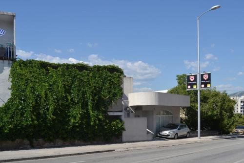 Sunflower — Split — photo 5