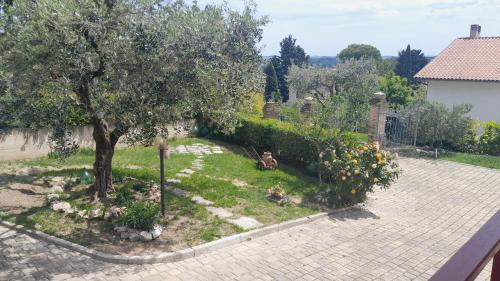Le Rondini — Corinaldo — photo 2