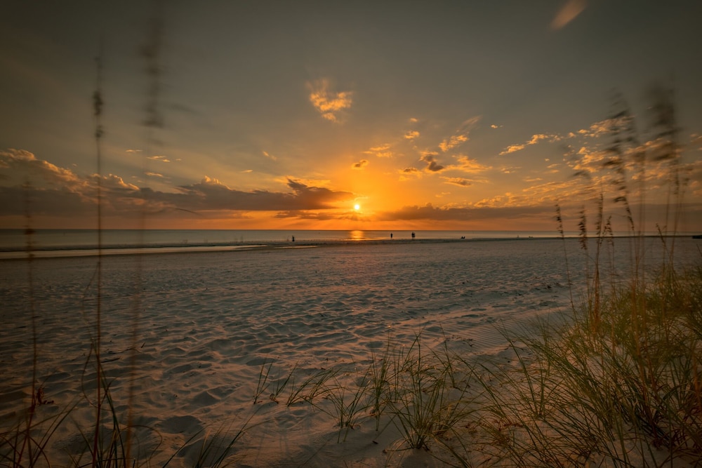 Hemingway Dream - photo 20