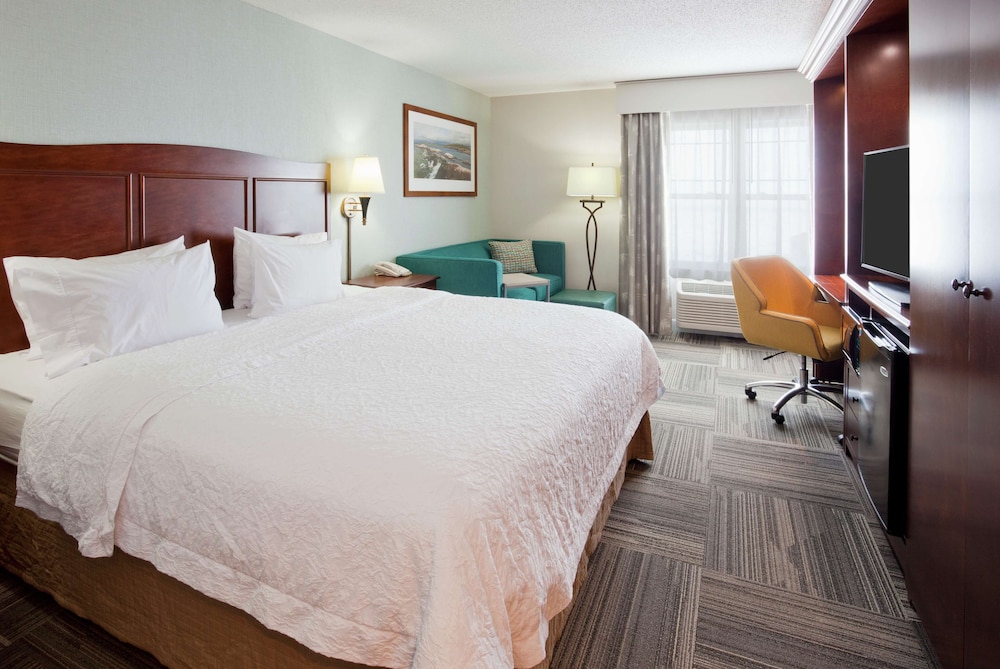 Hampton Inn Duluth Canal Park - photo 21