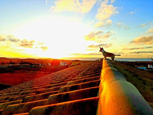 Agriturismo El Bounty1 — 4-Star Luxury Hotel in Puerto Del Rosario, Spain