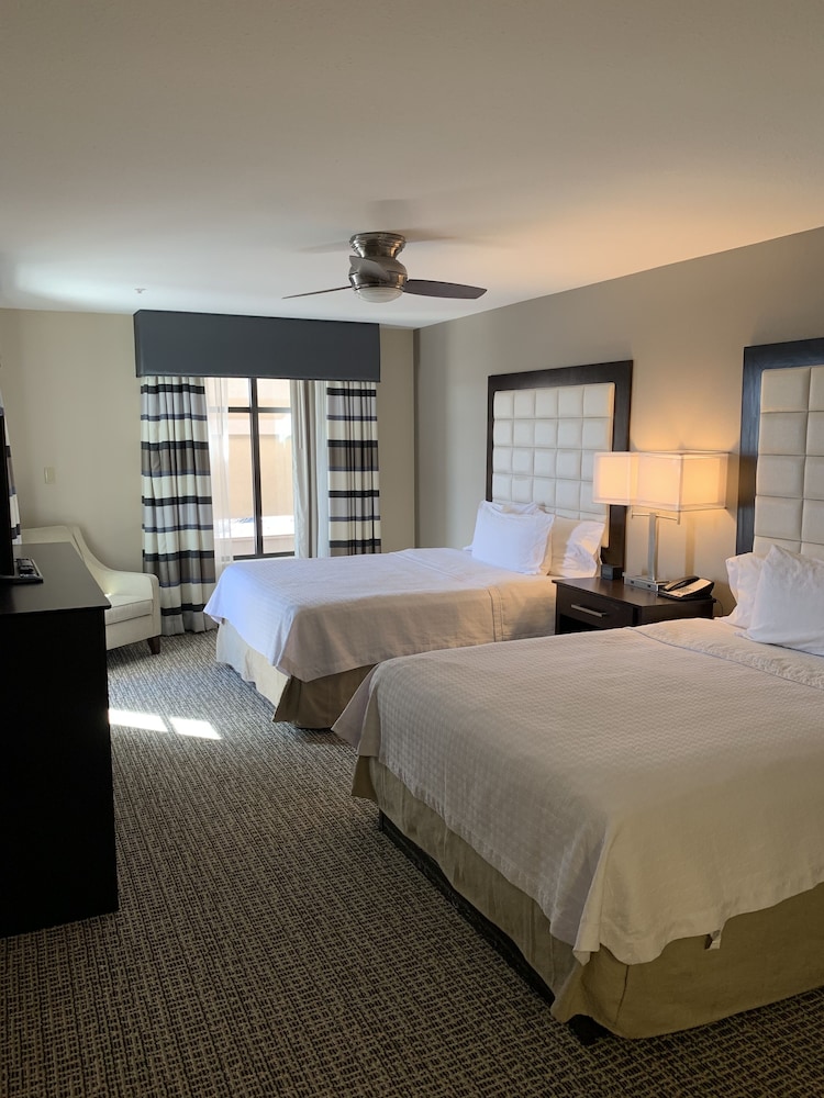 Homewood Suites by Hilton Munster - photo 4