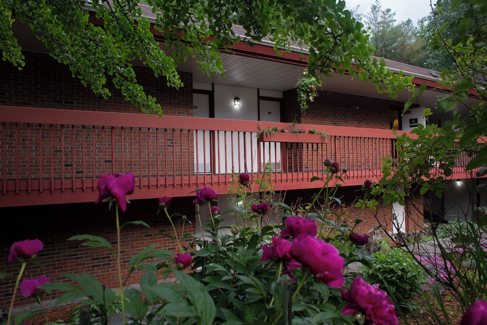 The Inn At Crumpin Fox - photo 15