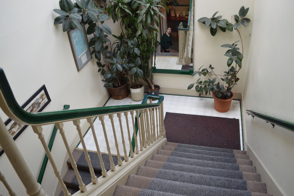 Chelsea Inn Hotel - photo 30