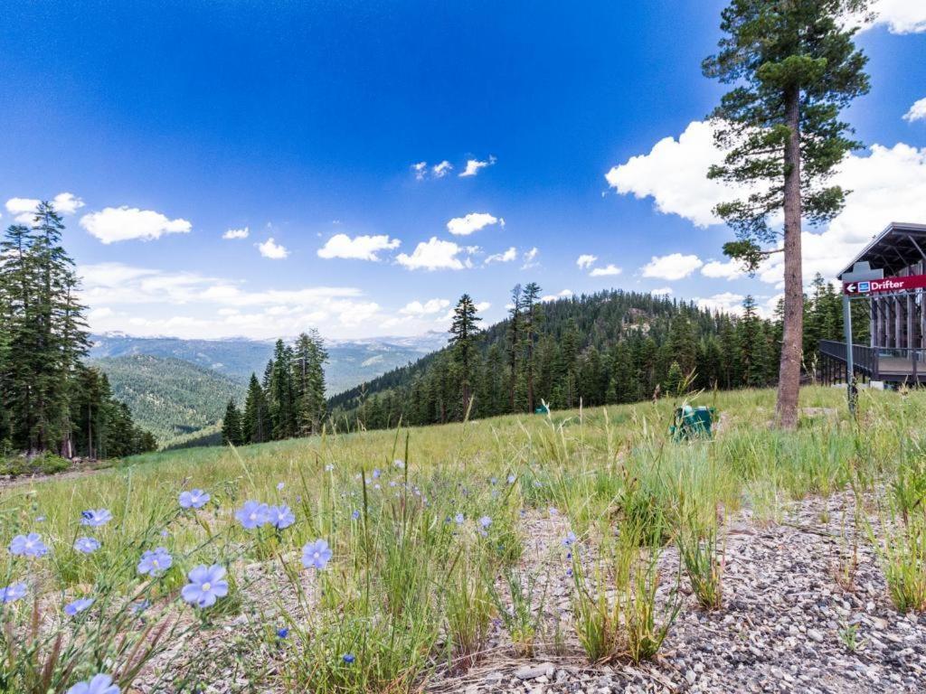 Northstar Original Village Studio One - photo 5