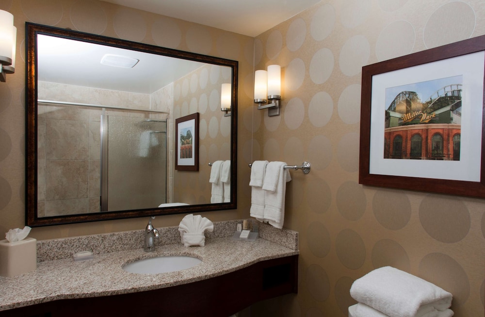 Hilton Garden Inn Milwaukee Airport - photo 32