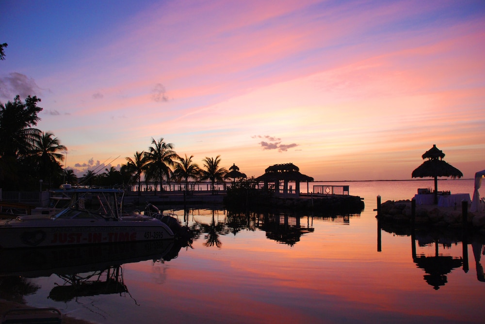 Amoray Dive Resort - photo 172