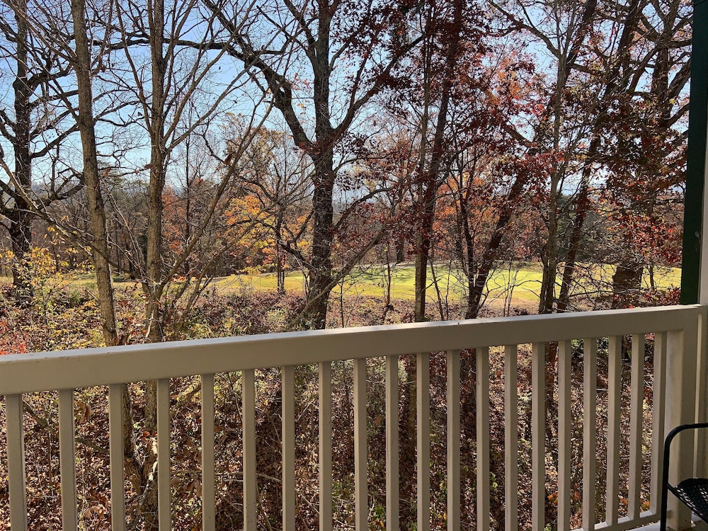 1404 Golf View Towers Smoky Mtn Bearadise - photo 17