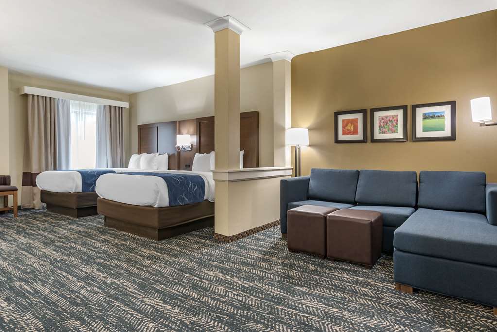 Comfort Inn & Suites Downtown near University - photo 29