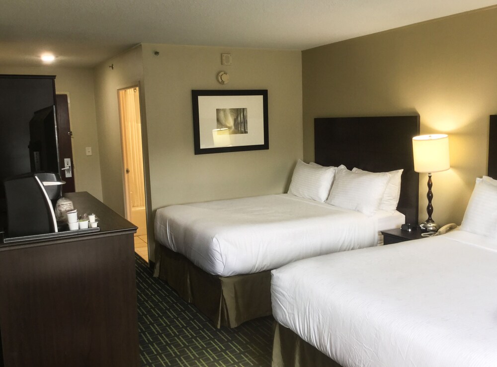 Best Western Charleston - photo 10