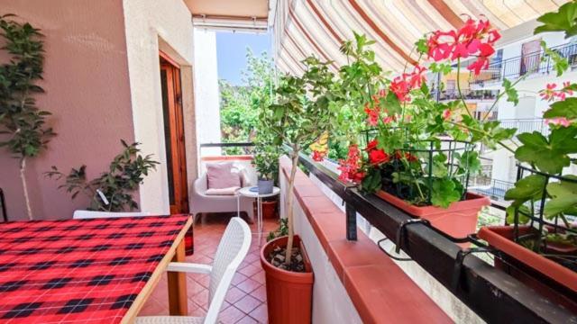 Casa Nest — 4-Star Luxury Hotel in Scalea, Italy