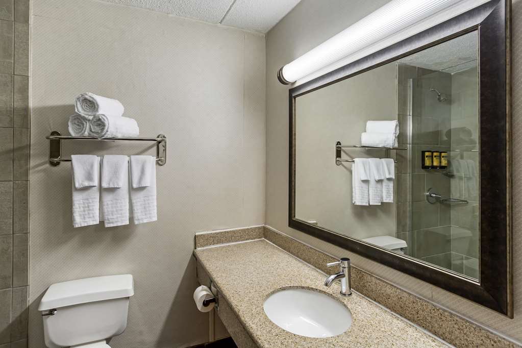 Best Western Plus Kingston Hotel And Conference Center - photo 41