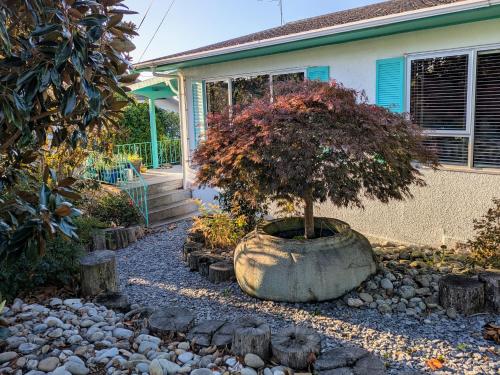 Sunny Bright & Warm One Bay View in Nelson, New Zealand