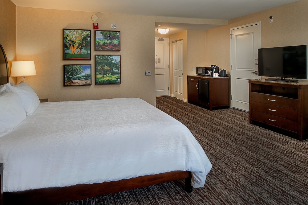 Hilton Garden Inn St. Louis Airport - photo 22