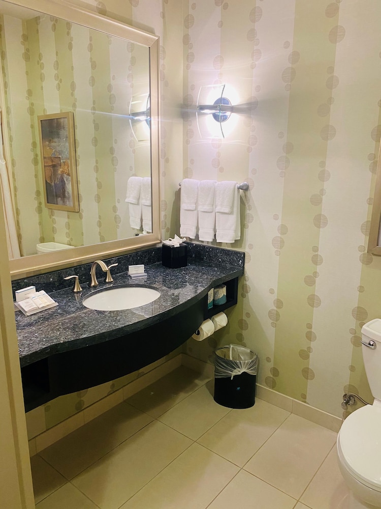 Hilton Garden Inn Fort Worth Alliance Airport - photo 33