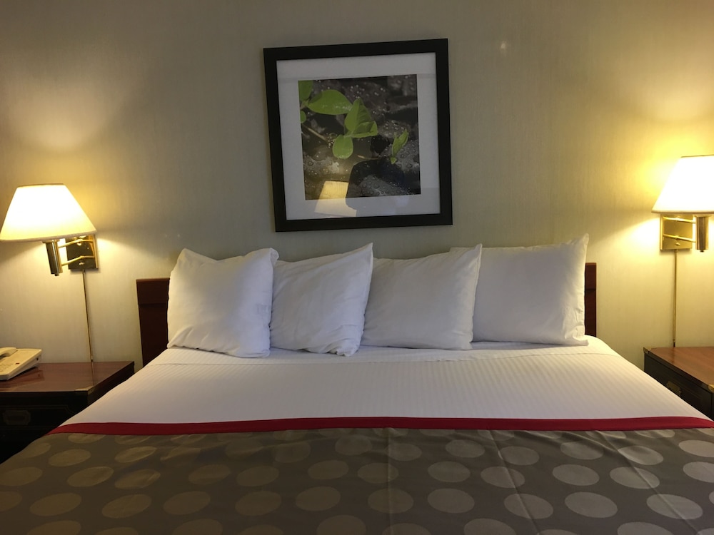 Ramada Portland Airport - photo 48