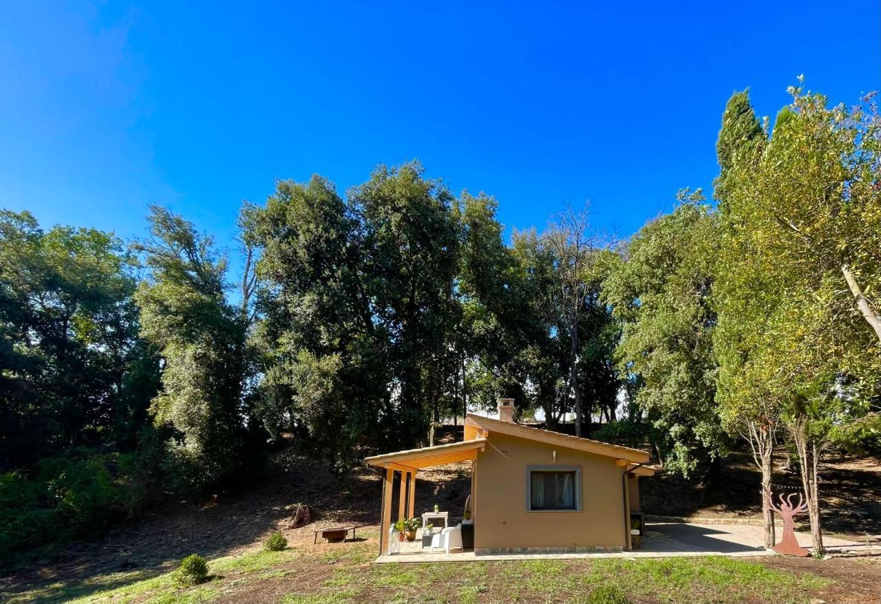 La Marmotta Country Relais Sul Lago — hotel in Anguillara Sabazia