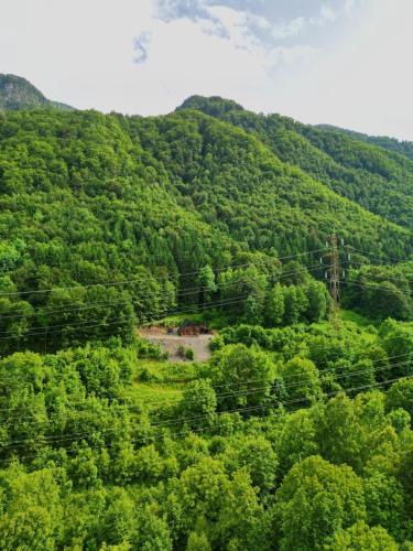 Wild Cabin — Malaia — photo 4