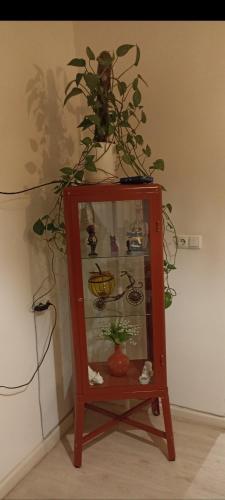 Centre Apartment Old Tbilisi