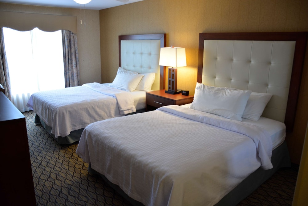 Homewood Suites by Hilton Brighton - photo 9