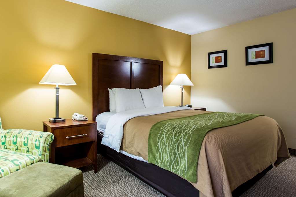 Comfort Inn Columbia West - photo 11