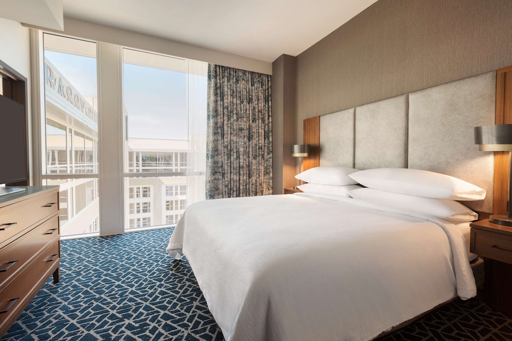 Embassy Suites by Hilton Denton Convention Center - photo 13