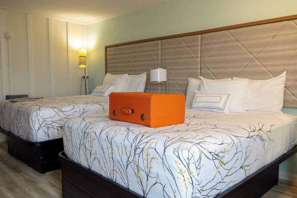 Ocean Sands Beach Boutique Inn Stay At the Beach - photo 17