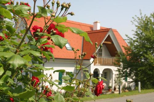 Sauer Gaste Und Vitalhaus — hotel in Kitzeck Im Sausal