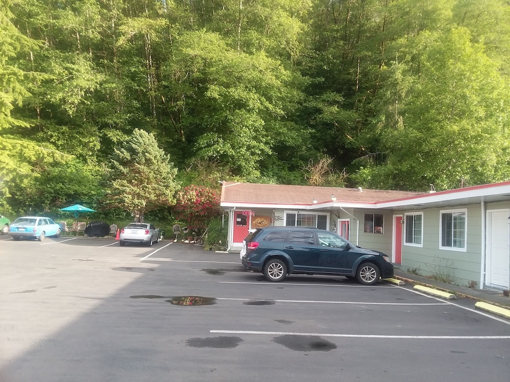 Shiny Motel - photo 33