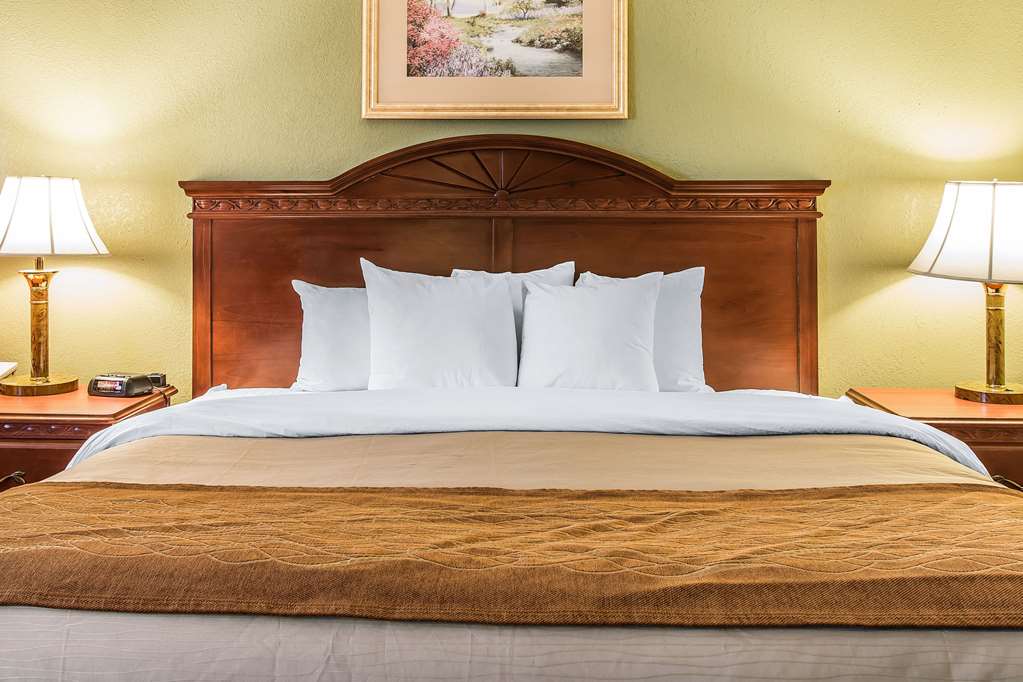 Quality Inn & Suites Ann Arbor Hwy 23 - photo 18