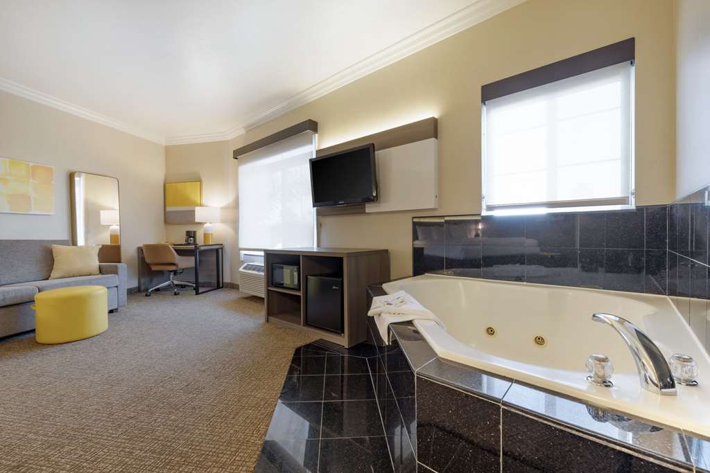Comfort Suites Oceanside Camp Pendleton Area - photo 27