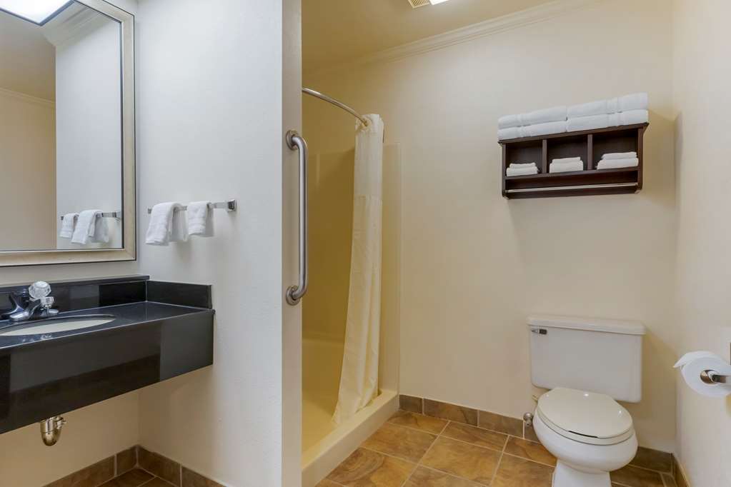Best Western Davison Inn - photo 37
