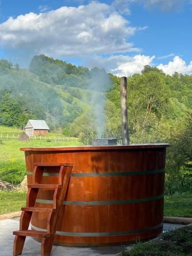 Cabana Țibleș Bichigiu — Bichigiu — photo 4