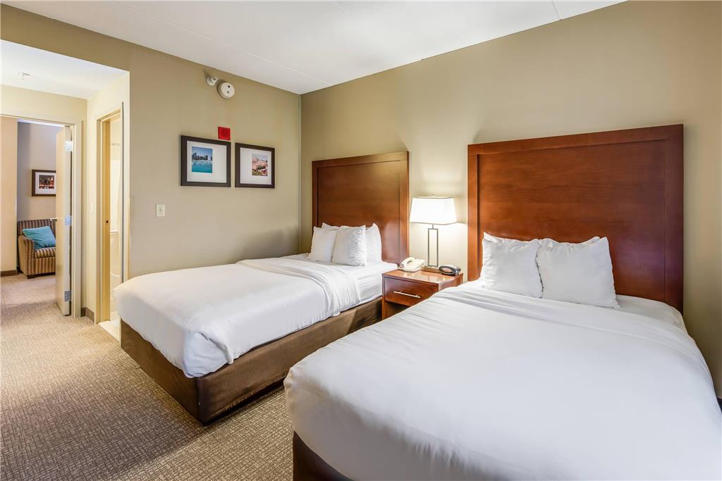 Comfort Suites Chicago O'Hare Airport - photo 26