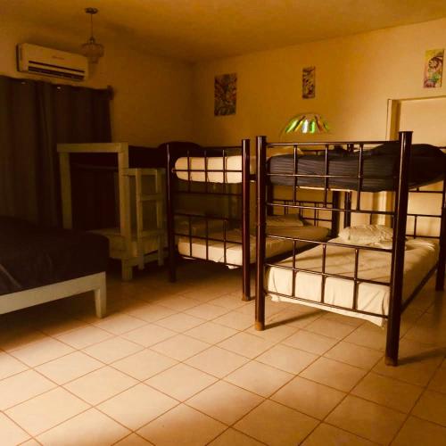 Cabañitas y Dorms — Bacalar — photo 2