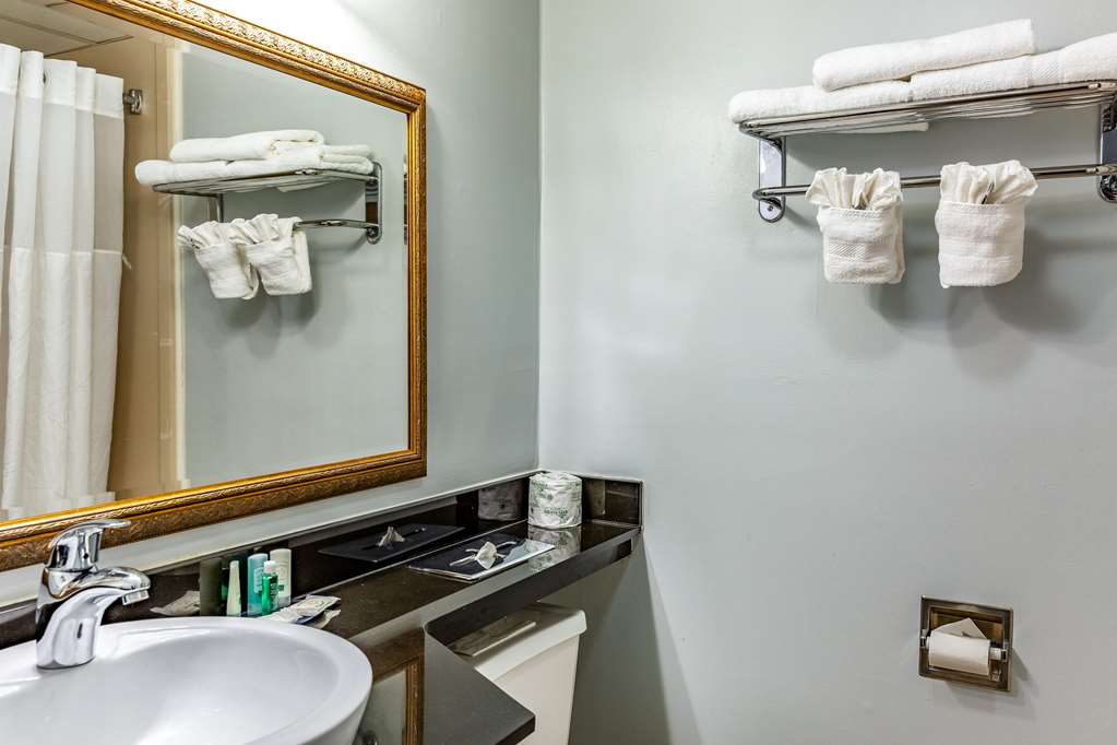 Quality Inn East Stroudsburg Poconos - photo 4