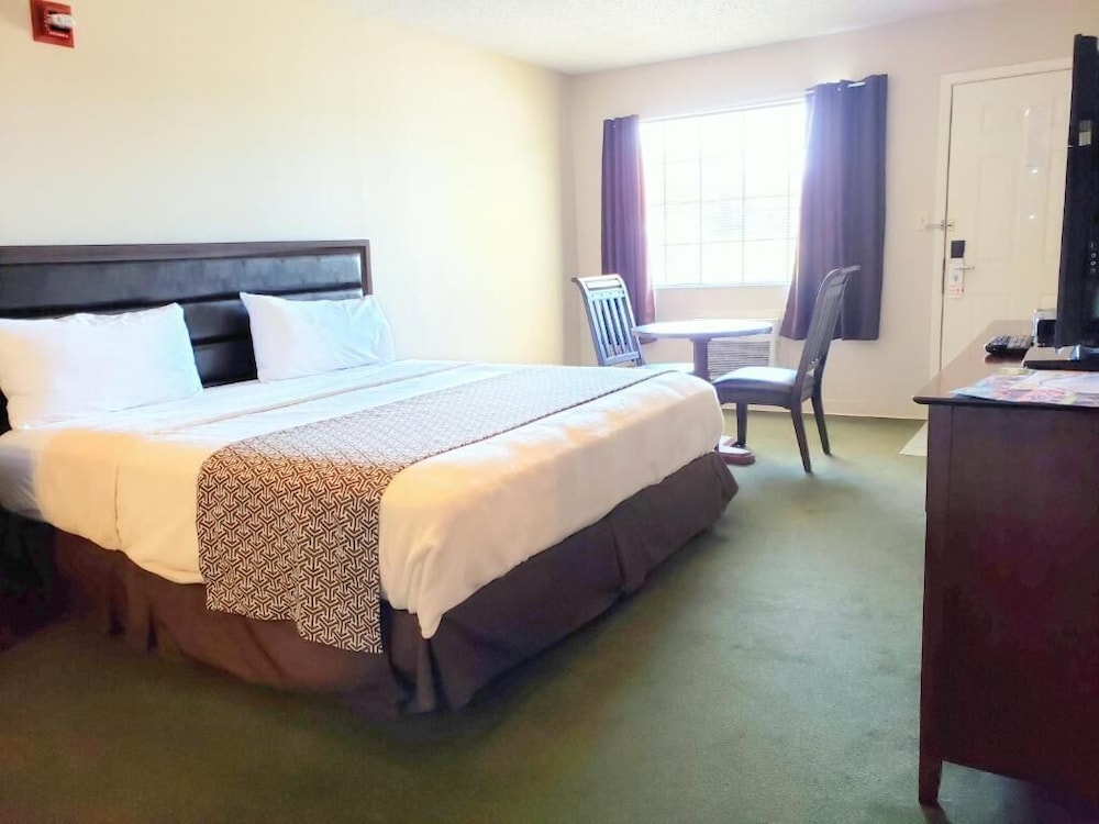 Motel 103 - photo 15