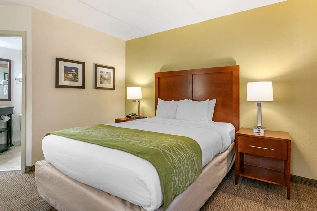 Comfort Inn Chattanooga Downtown Southside - photo 16