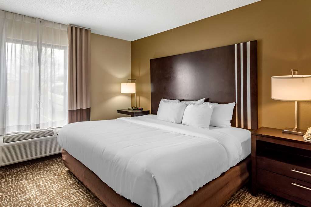 Comfort Inn Paducah I 24 - photo 16
