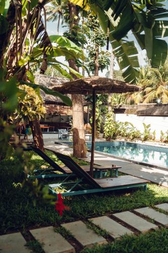 Paddle Cult Surf & Yoga in Varkala, India