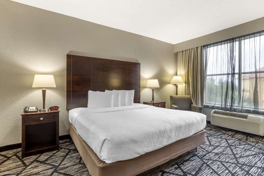 Best Western Plus Hobby Airport Inn & Suites - photo 23