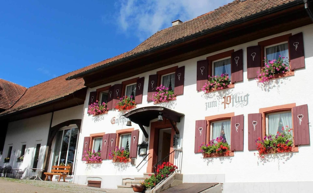 Hotel Landgasthof zum Pflug in Steinen, Germany