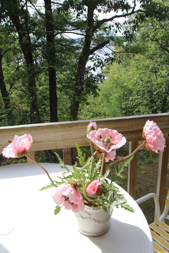 Tanglwood Resort - photo 3