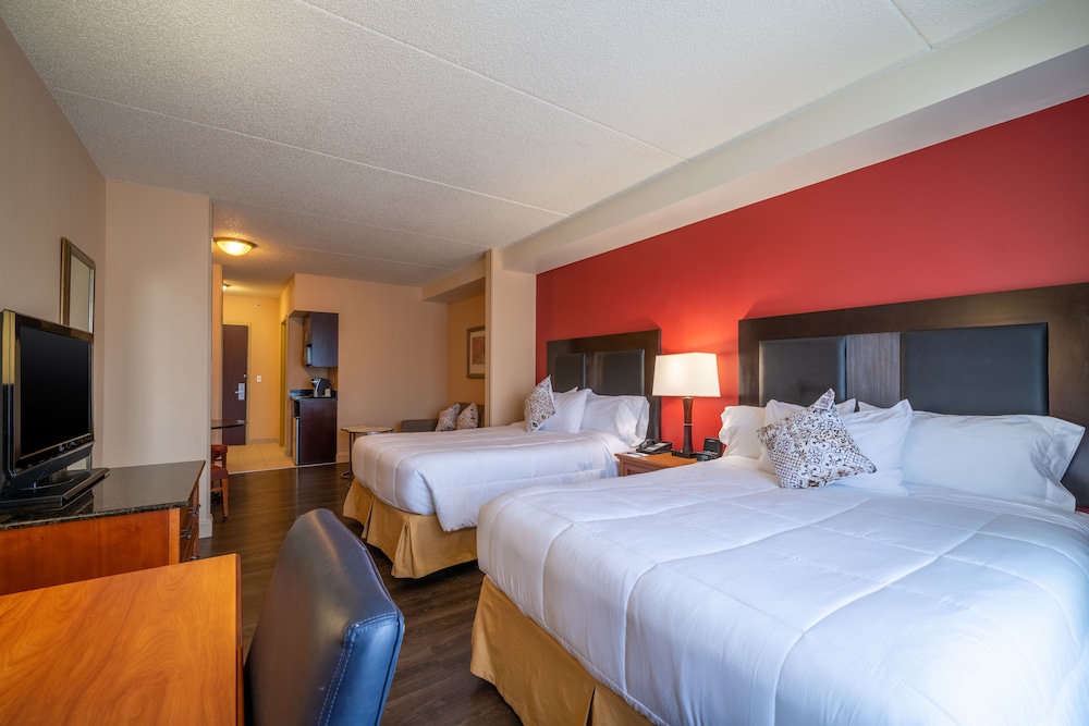 City Express by Marriott Washington DC Northeast - photo 14