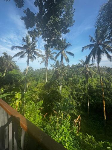 Ubud Uma Ijo — Ubud — photo 2