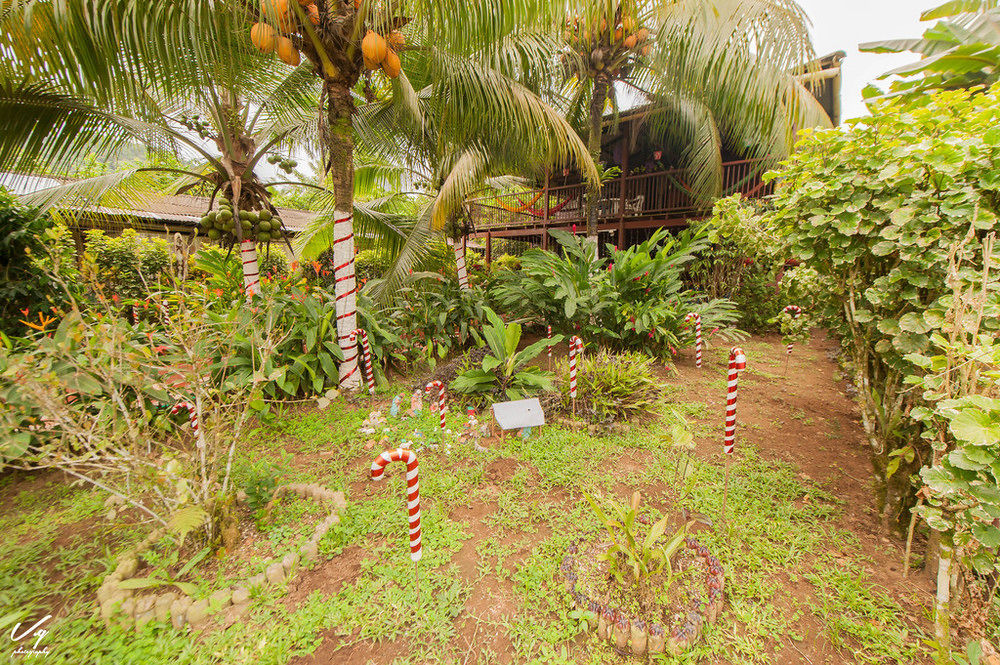 Posada Los Delfines — Bahia Solano — photo 5