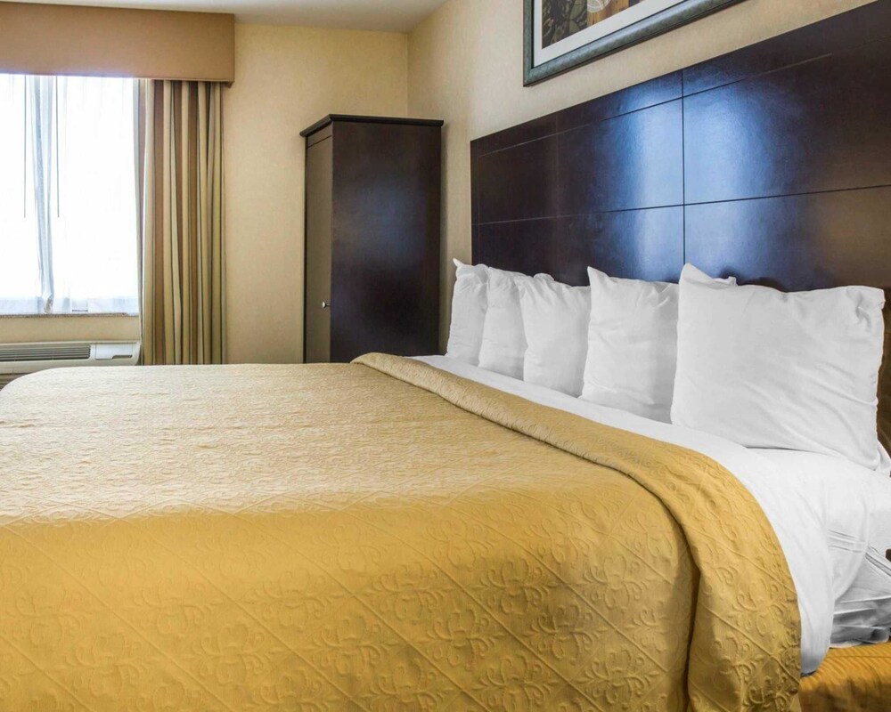Quality Inn Woodside - photo 15