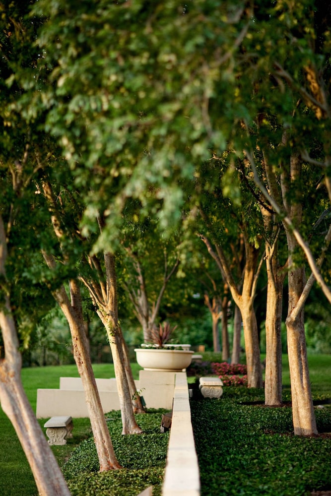 The Westin Dallas Stonebriar Golf Resort & Spa - photo 79