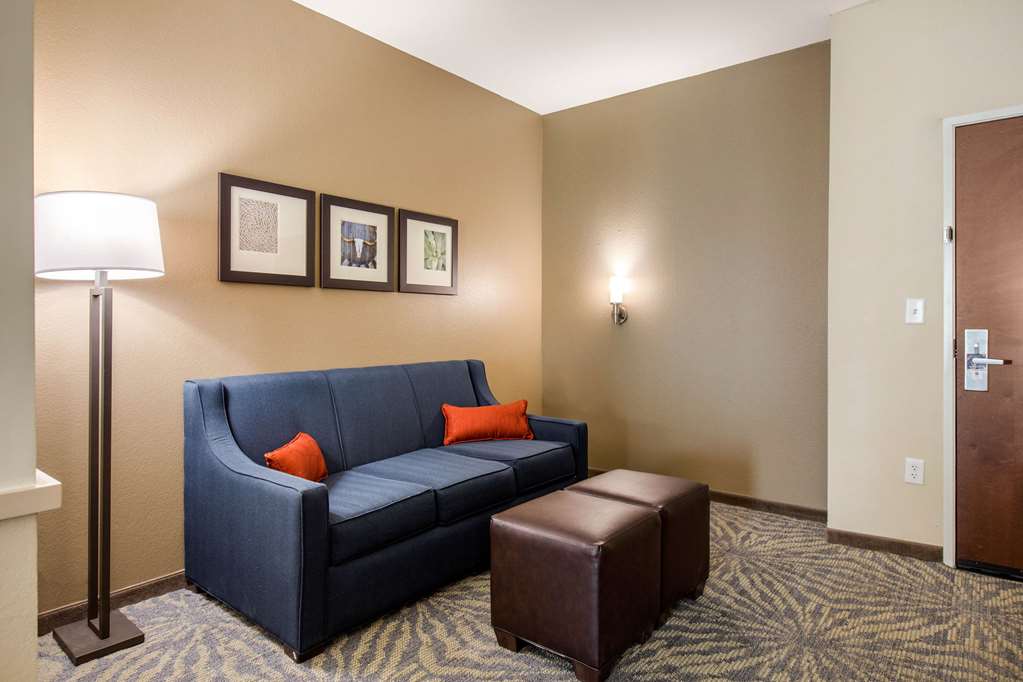 Comfort Suites South Austin - photo 15